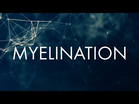 Myelination - Science Applied to League of Legends Ep. 4