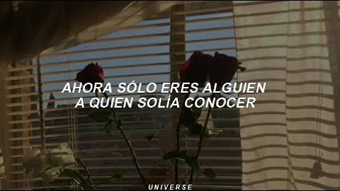 Gotye & Kimbra; Somebody that I use to know [Traducida al español]