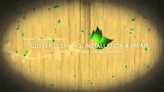 Berkeley Gutters