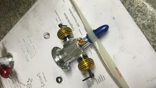 IMG 3145