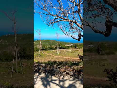 Đồi Cổ Thạch Phú Yên Đang Hot Gần Đây | Vinh Phúc Tourguide Review #travel #funny #chill #dulich