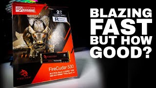 SEAGATE LIBERE LE MONSTRE ! REVIEW Seagate Firecuda 530 VERSIONS 500 Go et  1To 