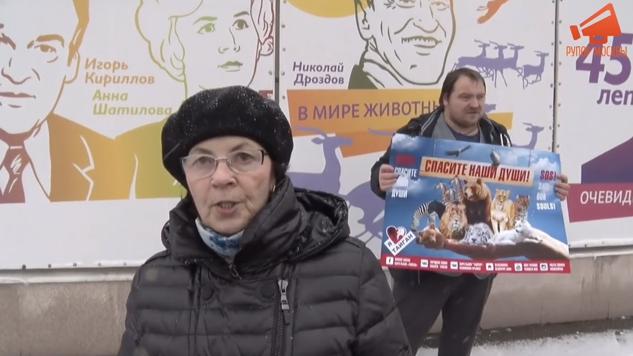 В Москве у телецентра Останкино прошли пикеты в поддержку сафари-парка Тайган и Олега Зубкова
