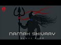 Namah shivaay full audio  suniil raoo  pop record  latest song 2023