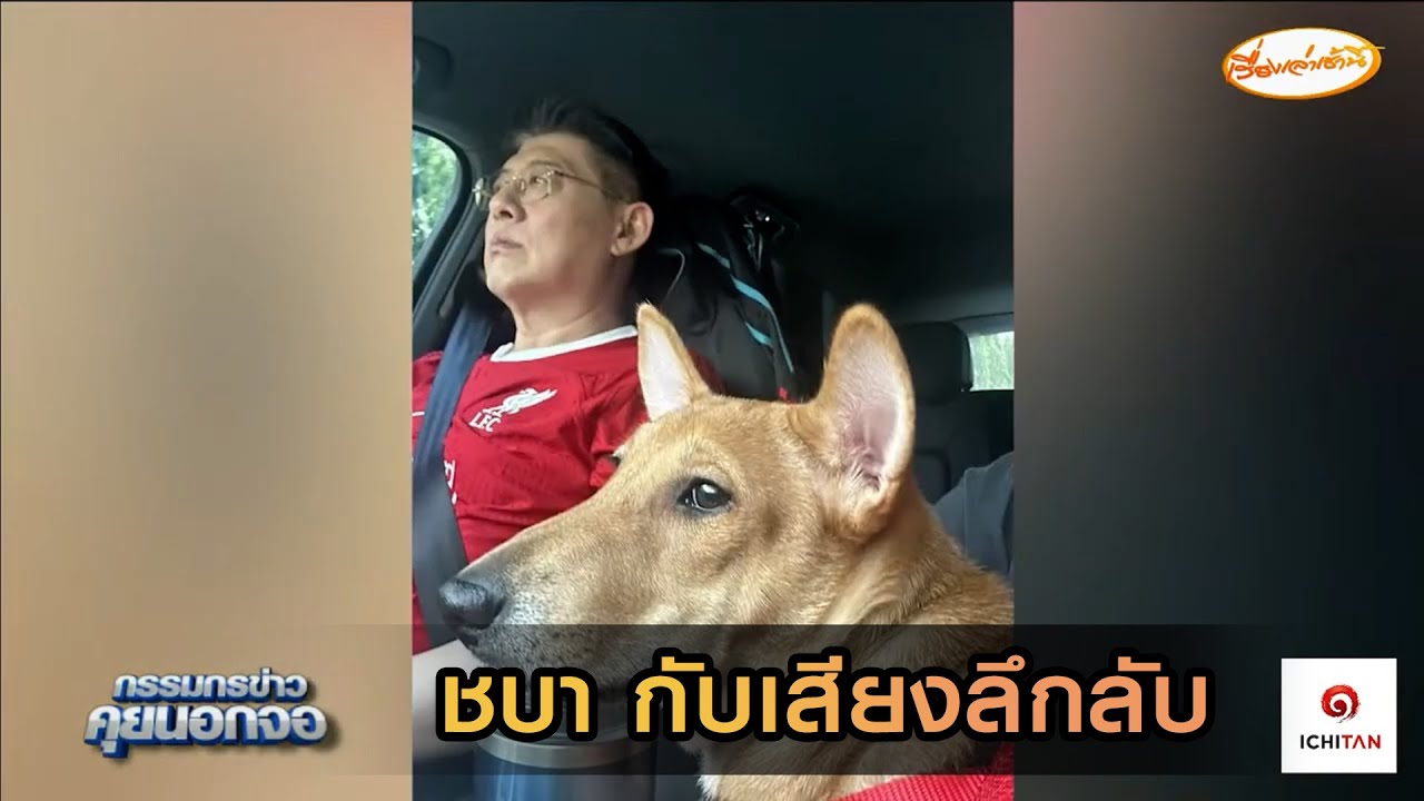 ชบา กับเสียงลึกลับ