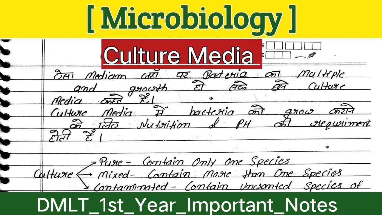culture media microbiology in hindi Types of culture media YouTube