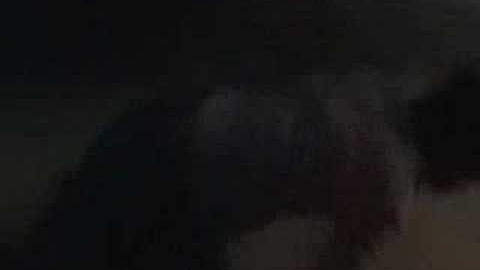 Swinburne Assignment Stupid Thief