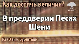 В преддверии Песах Шени. Рав Хаим Бурштейн