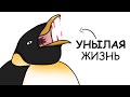 Ты – Полярный волк (И ЭТО ВСЯ ТВОЯ ЖИЗНЬ)