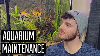 MAINTENANCE ON THE 40 GALLON PLANTED AQUARIUM by Aaron Lewis 389 views 2 years ago 6 minutes, 24 seconds