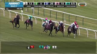White Flag - 2018 - The Aqueduct Turf Sprint Championship