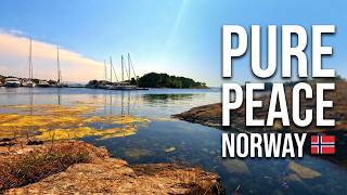 Sokn's Gentle Waves Meet Local Birdsong | 10 Minutes of Pure Peace 🇳🇴 screenshot 1