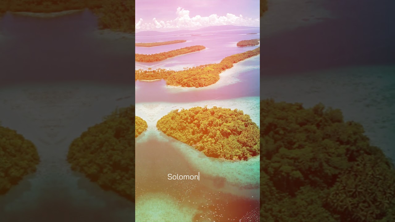 WITNESS Shark Frenzy Chaos in the South Pacific! 🦈