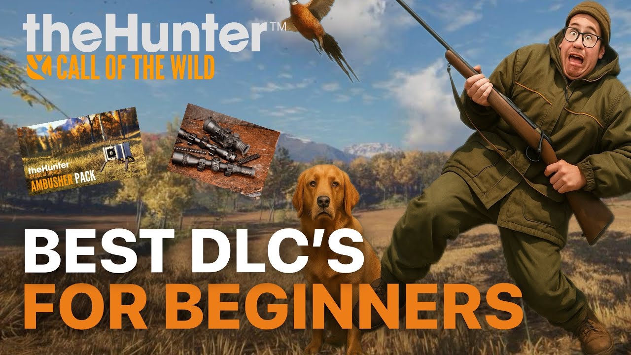 Лучшие DLC для новичков, новых игроков и сброса игры | The Hunter Call of the Wild