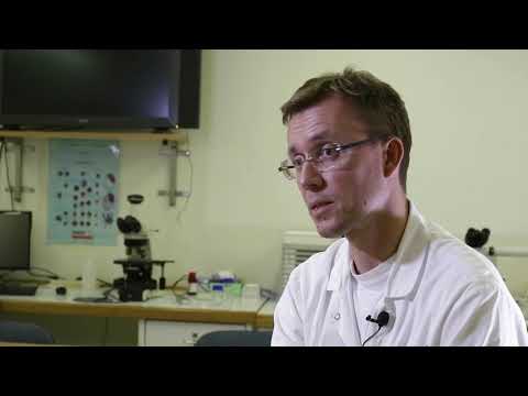 Video: Kronična Limfocitna Levkemija In Kakovost življenja