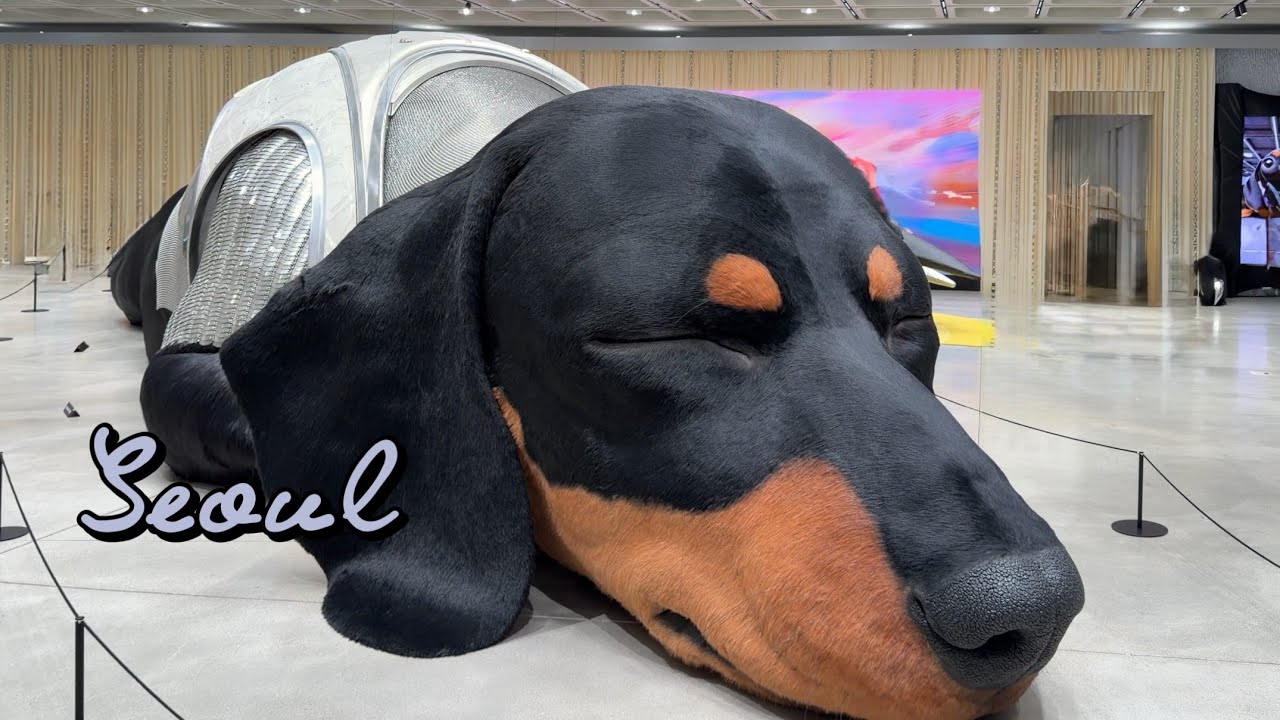 首爾3天2夜vlog │最新聖水漢南逛街🛍️克羅心全踩點, 米其林烤肉.醬蟹.龍山咖啡.Jennie漢堡🍔 │2025 Seoul