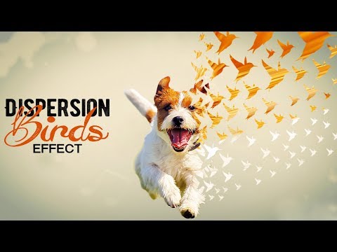 Dispersion Effect:  Photoshop Tutorial