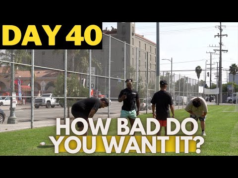 THE BULKY SHOW - DAY 40