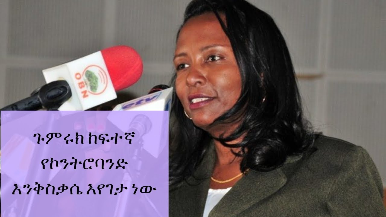Ethiopia: ጉምሩክ ከፍተኛ የኮንትሮባንድ እንቅስቃሴ እየገታ ነው