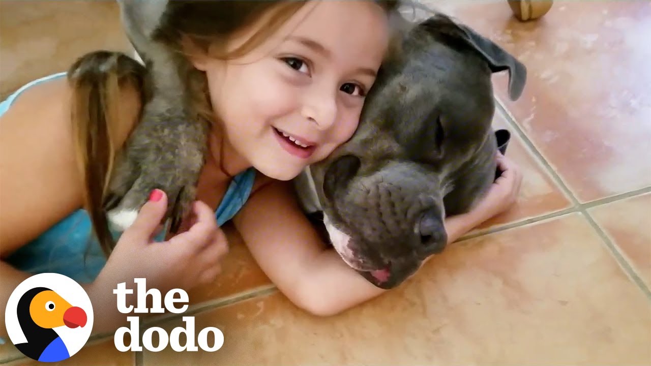 Watch This Little Girl Grow Up With Her Pittie | The Dodo