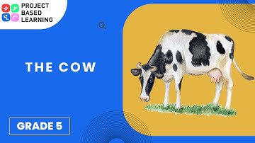 PBL Implementation Support Video_Grade 5: The cow_Kannada Medium