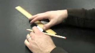Leaf Pigment Chromatography