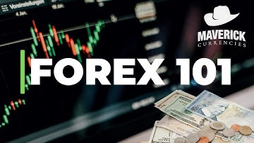 Forex Trading - Currency 101 - Terminology