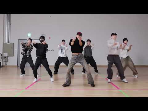 PYTHON - GOT7 [Mirrored Chorus]