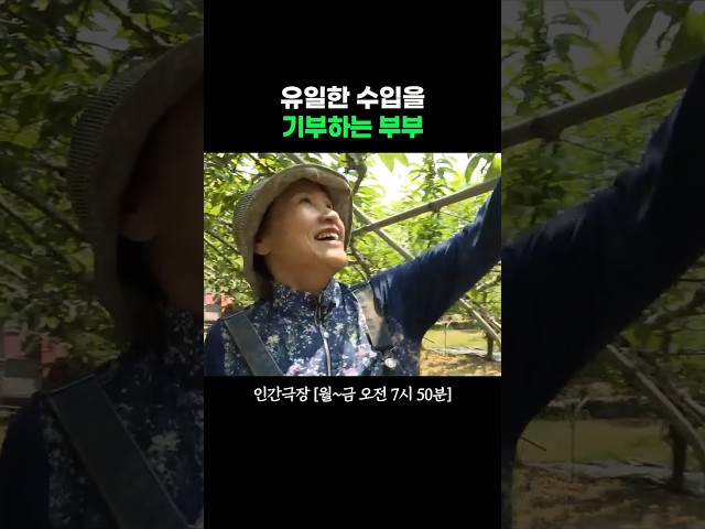 자두 농사 잘 지어야 '우물'이 생겨요 #인간극장ㅣKBS 260710 방송
