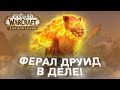 НОВАЯ Легендарка на ФЕРАЛ Друида! Shadowlands! WoW 9.0.2! ● РЭЙВИС