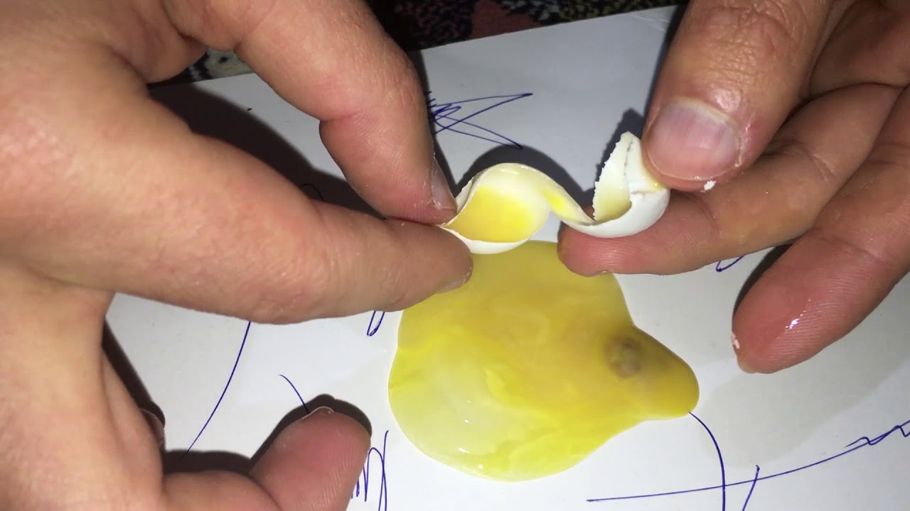 Boş yumurta nasıl anlaşılır? Boş Yumurta Sorunu\neden boş yumurta atar? boş yumurtanın çözümü var mı