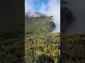 saddle rock trail from new land forest