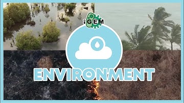 iGEM 2021: Environment Track Projects (Trailer)