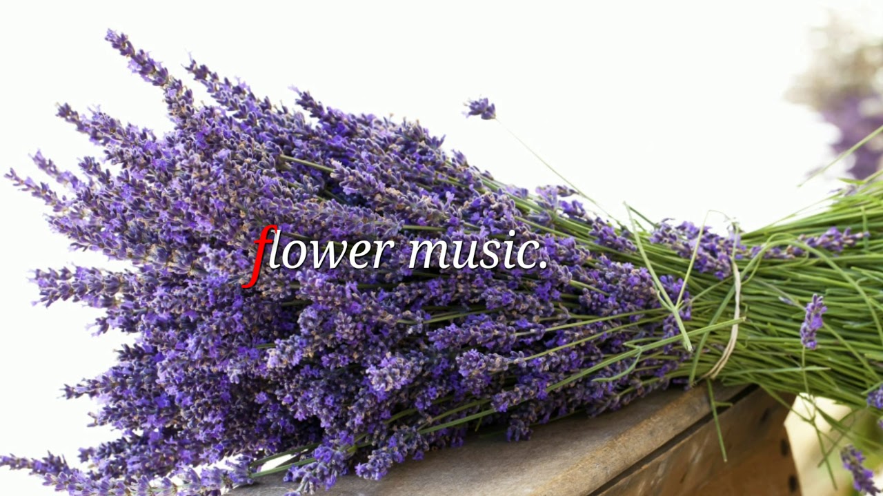 Flower music. YouTube