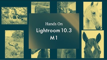 Quick test of Lightroom 10.3 M1 Apple Silicon