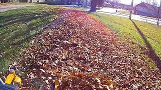 2017 Fall Leaf cleanup front lawn New Lawn customer Pt- 1