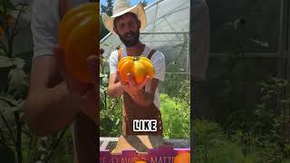 5 Silly Garden Hacks