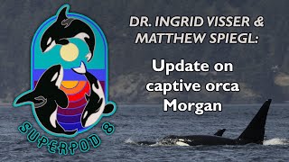 Superpod 8 - Dr. Ingrid Visser & Matthew Spiegl - Update on captive orca Morgan