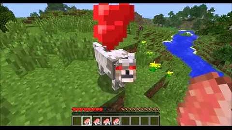 Minecraft: Wolf attacking with hearts hovering above
