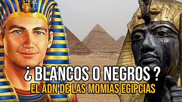 ¿De qué raza era el antiguo Egipto?