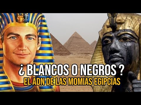 Video: Signos incomprendidos y conocimiento de nuestros antepasados