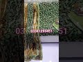 palachi suit Deliver worlwide Contact 03341293451 #viral#trending#shorts#fyp#foryou#trendingshorts