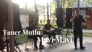 Taner MUTLU - Mavi Mavi Resimi