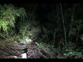 心霊マニアの旅 2012 山梨県 青木ヶ原樹海 夜間撮影B地点