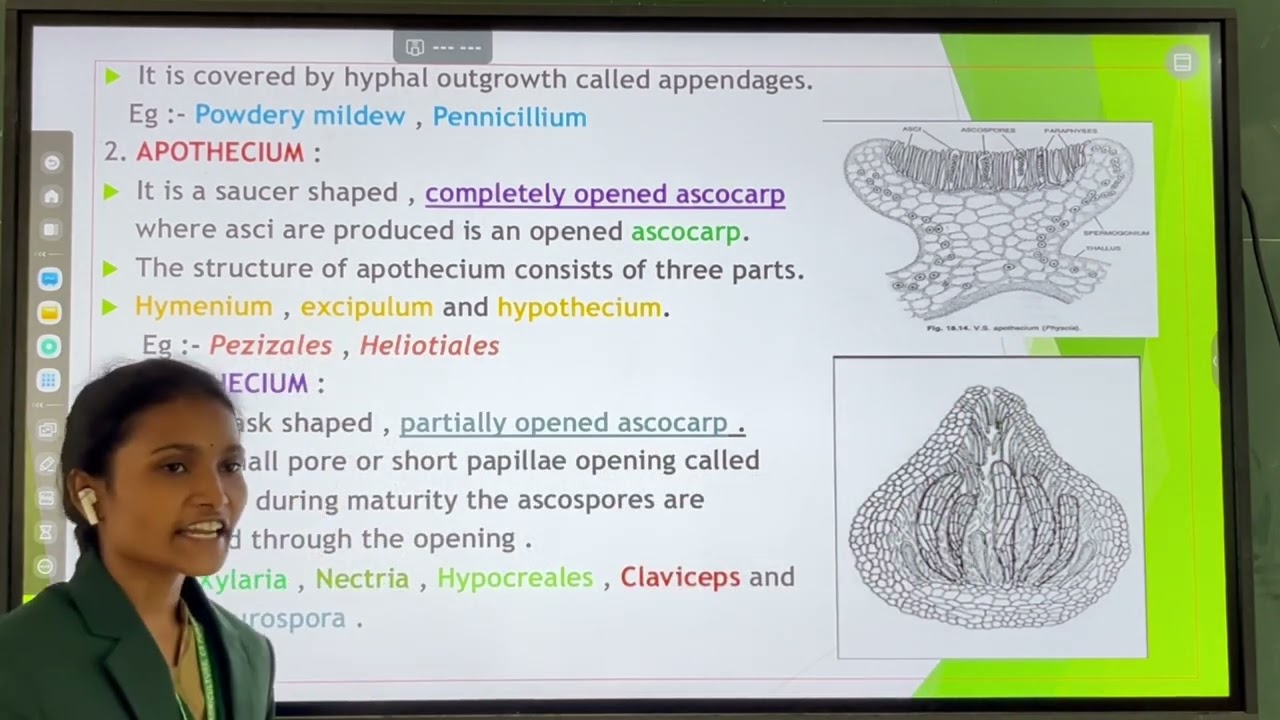 PATH171, Lec 23. Fungi – Ascomycota, Ascus types, sexual fruiting bodies, ascocarps by Vyshnavi  M