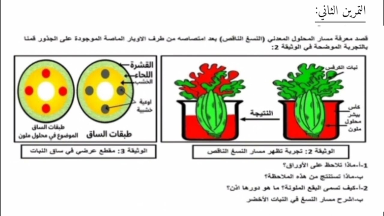 فرض الفصل الثاني في العلوم الطبيعية أولى متوسط