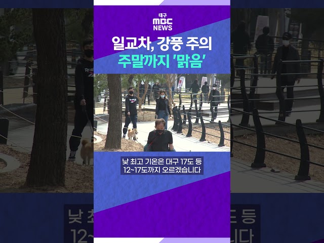 일교차, 강풍 주의⋯주말까지 '맑음' #shorts (대구MBC)