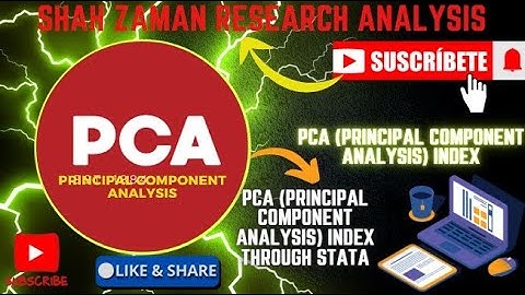 How to Create a PCA (Principal Component Analysis) Index in Stata | Shah Zaman Research Analysis