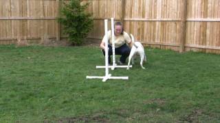 Spry jump training session #2 031410