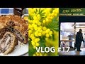Весна, цветочки / Английские пироги / Придурошная курица